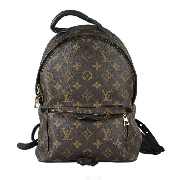 Louis Vuitton Palm Springs (small) PM - Picture 1 of 10